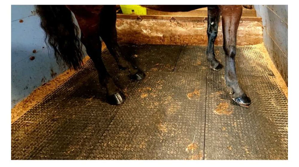 Maty stajenne, maty do boksów, maty legowiskowe maty dla koni