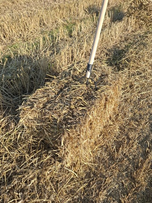 Sprzedam słomę zbiór 2025r.