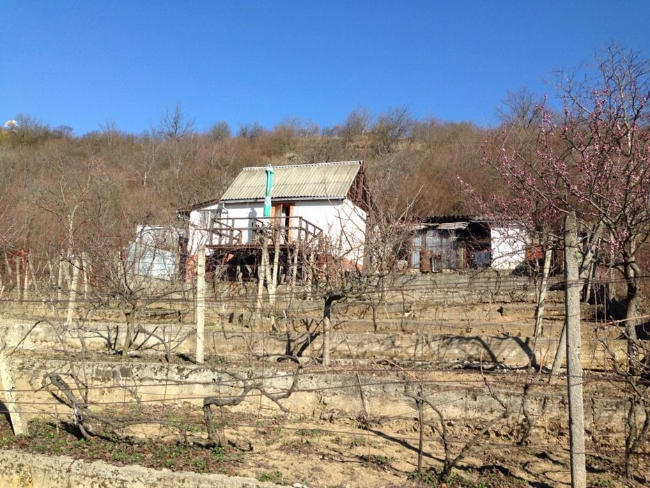 Продам дачу в Виноградові
