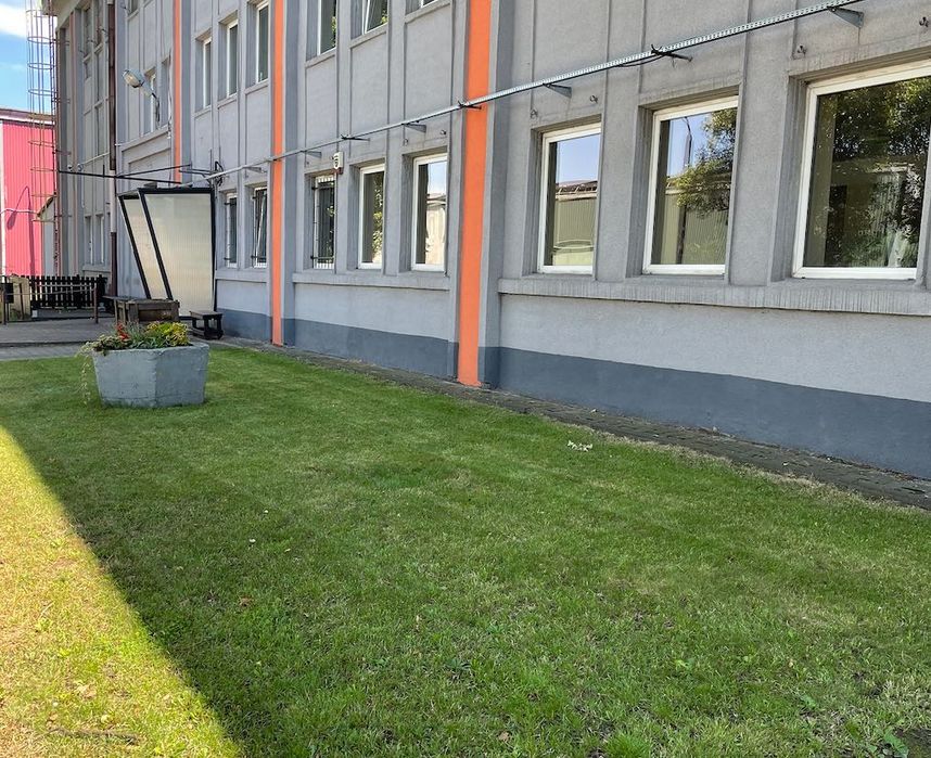 Koszenie trawy, wycinka drzew, oczyszczanie terenu, wykopy, zamiatarka