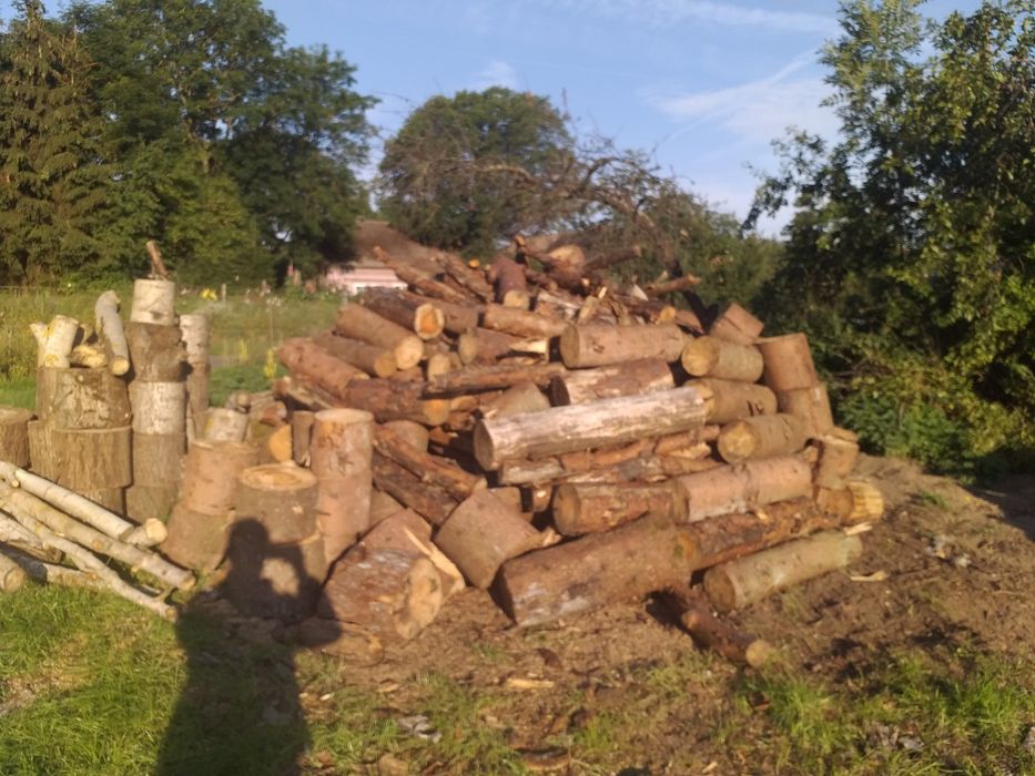 Drewno opałowe iglaste i liściaste