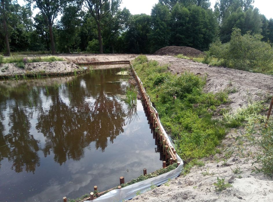 Faszynowanie stawów, umacnianie brzegu