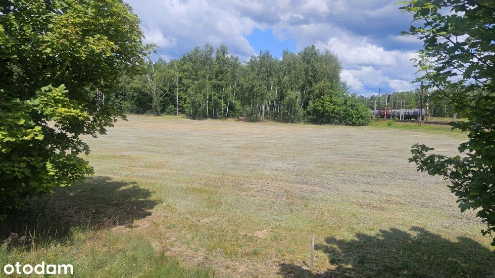 Działka budowlana ze ścianą lasu