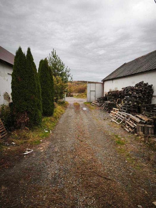 Здаються складські приміщення, с. Великі Лази Код: 18220