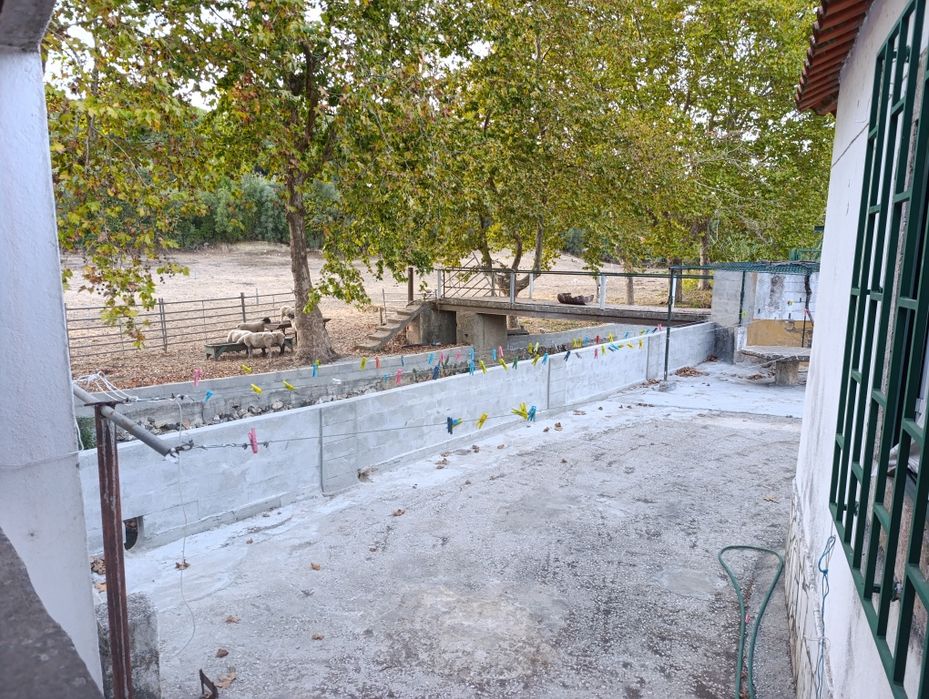 Quartos para Alugar