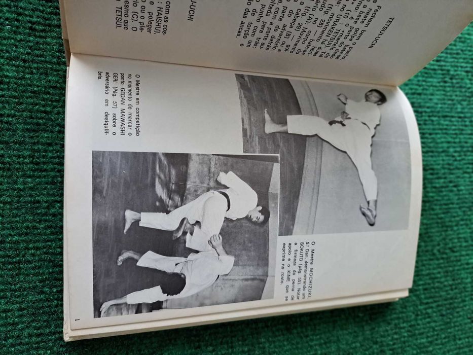 O Karate (Técnica Wado-Ryu)