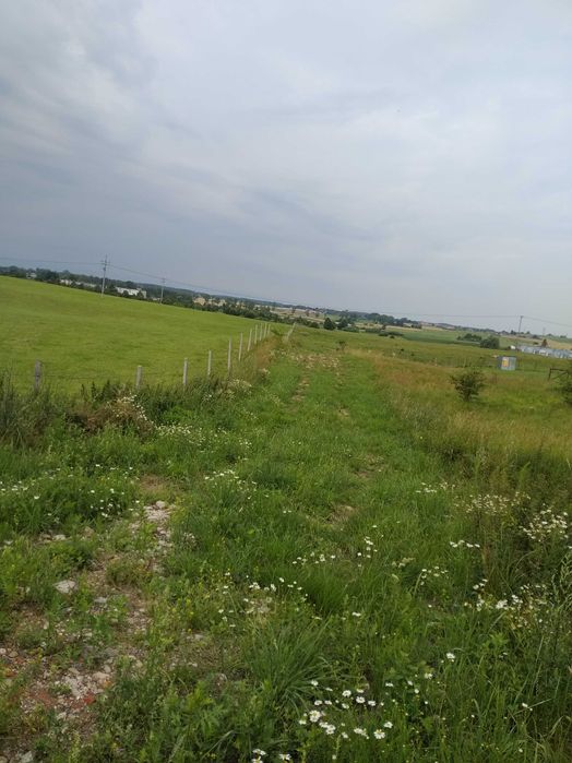 Bezpośrednio    działki      blisko      miasta     i     lasu.