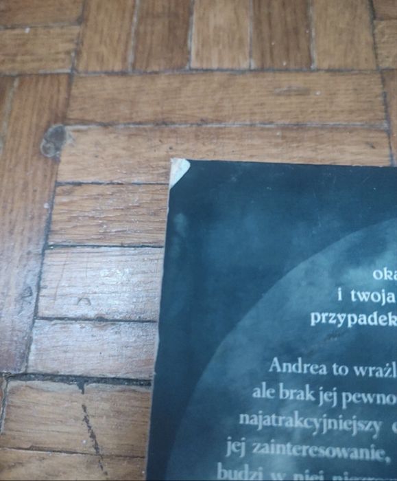 Książka ,, Tożsamość anioła" L.H. Zelman