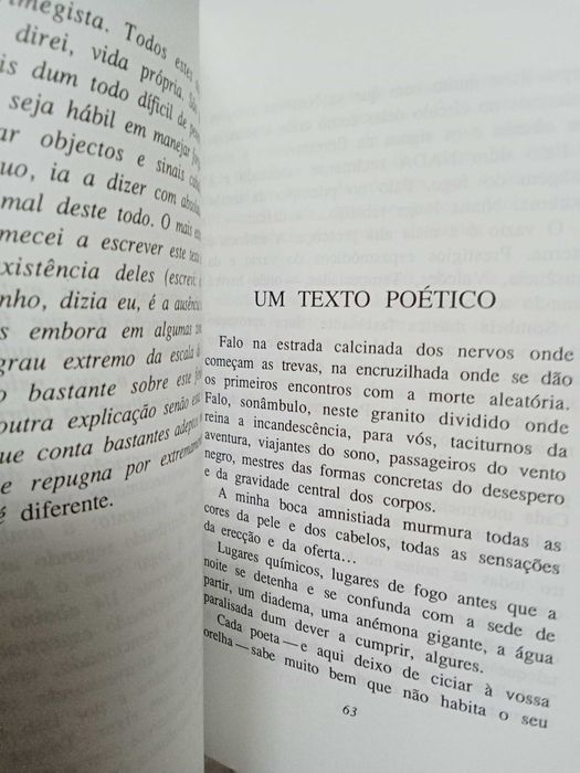 Ernesto Sampaio - Luz central