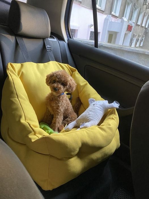 Автокрісло "BEIGE" для собак