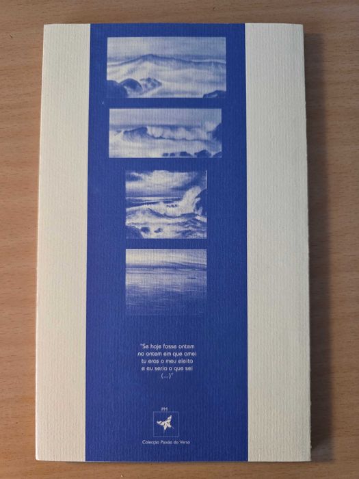 Livro "Janelas para as Pontes" de Alcina Portugal