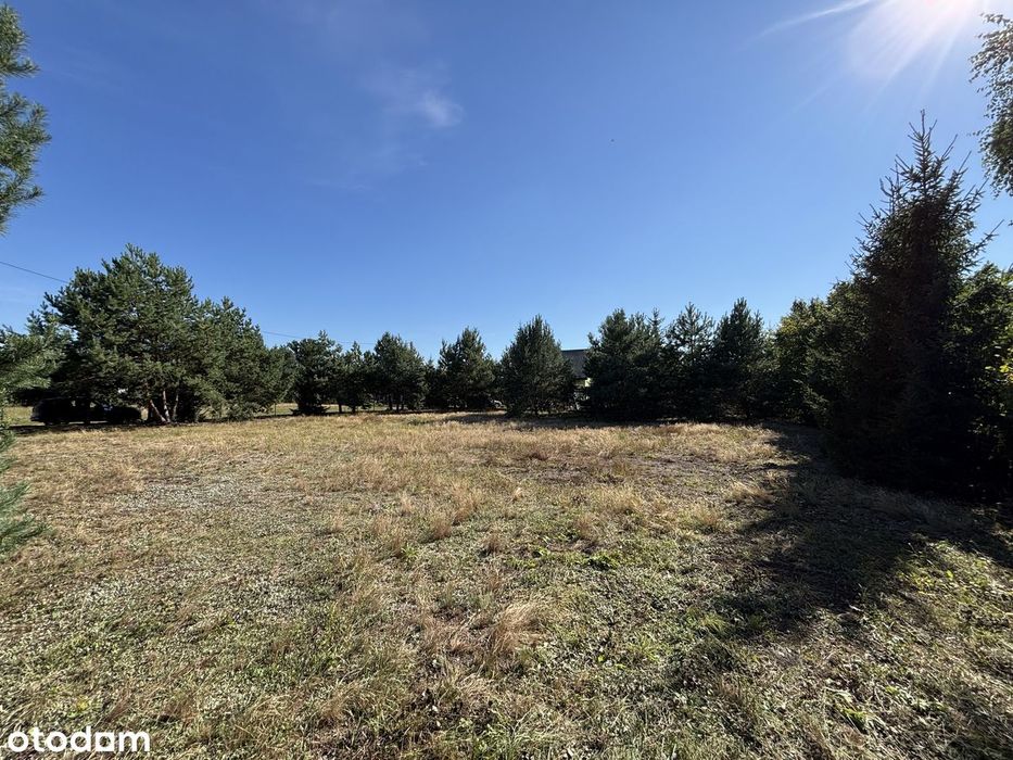 Działka 1577 m², Grabówiec k. Pułtuska - Widok 2