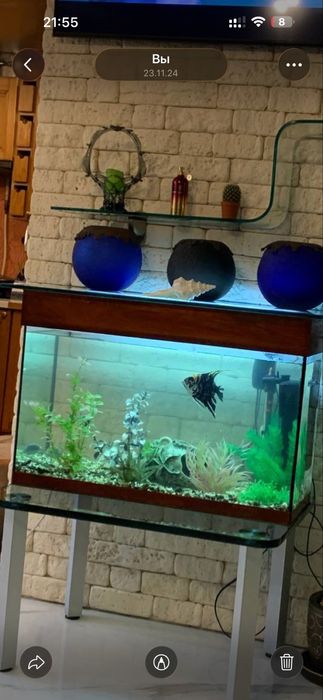Продам аквариум на 80 литровне течет!, со всеми имеющимися прииборами!