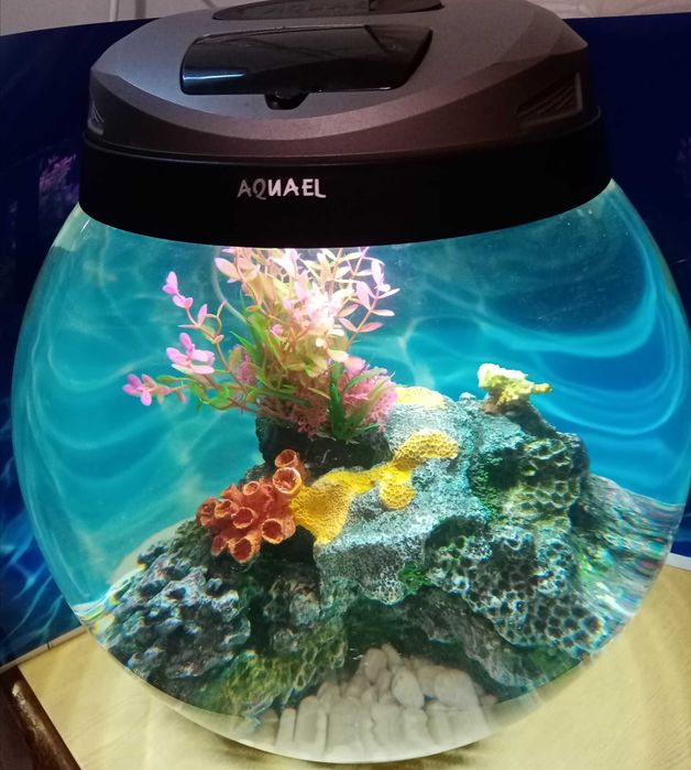 Продам Акваріум Аquael