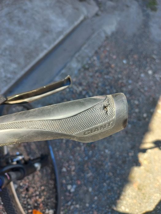 Cross Giant Roam 2. Rozm. L