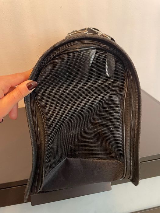 Transportadora animais