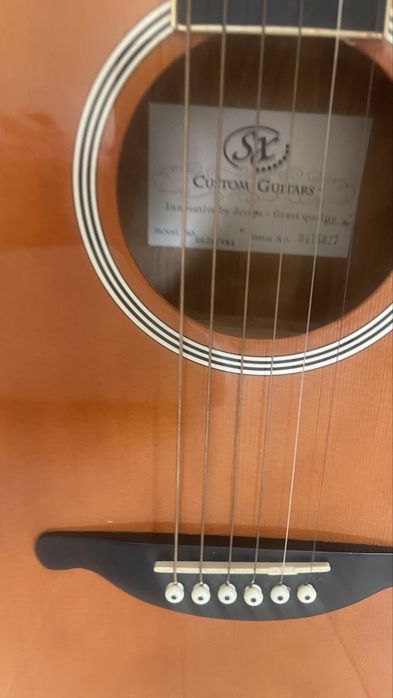 Акустична гітара SX з чохлом