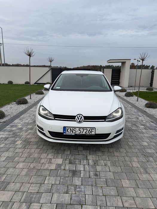 Volkswagen Golf / Gwarancja + Serwis