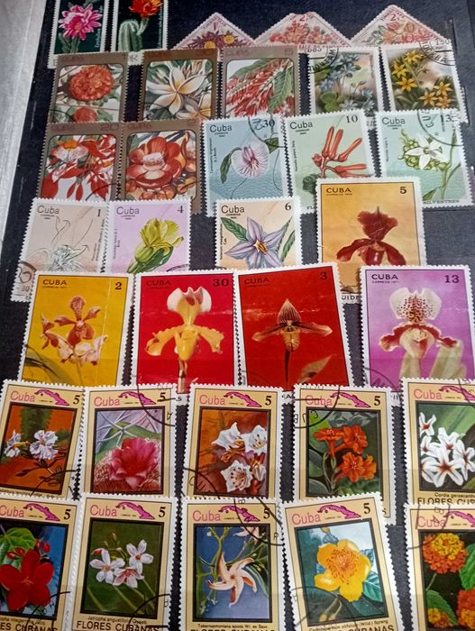 Альбом 30Х21 . Марки (флора.фауна,інше 180шт).