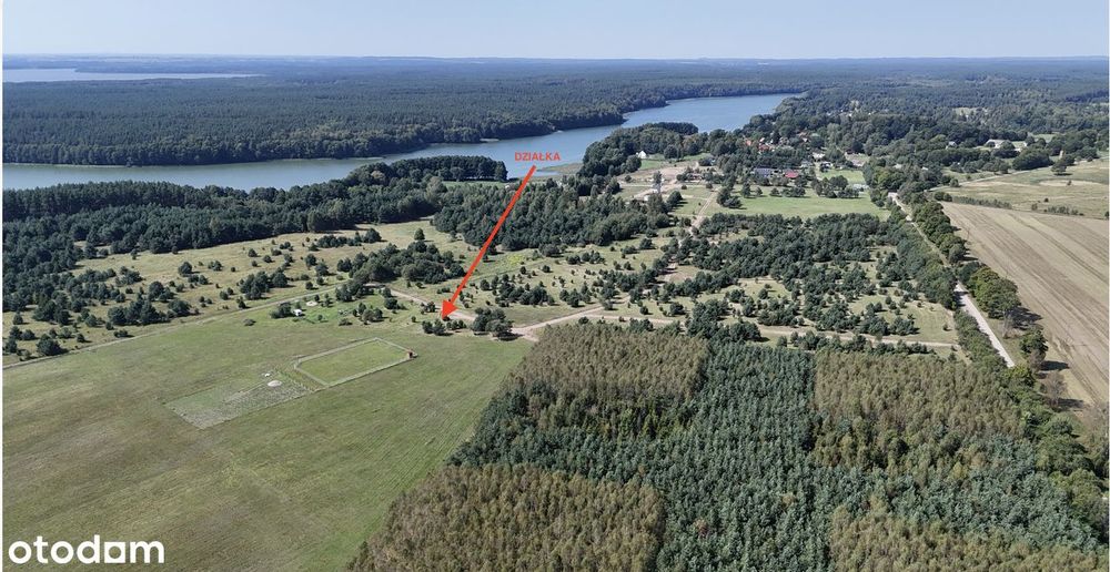 Dołgie - tu jezioro, cisza, las - odpoczynek cały czas - Widok 4