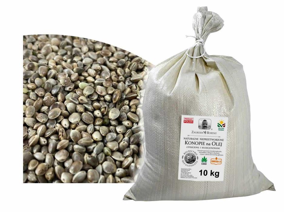 Konopie Siewne na Olej 10 Kg bez Glifosatu Cannabis Sativa Super Food