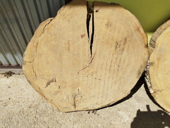 Sprzedam  krążki dębowe