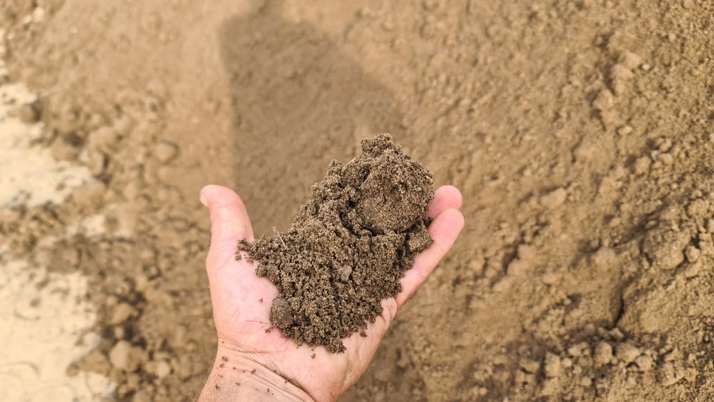 Ziemia pod trawnik siana świeża