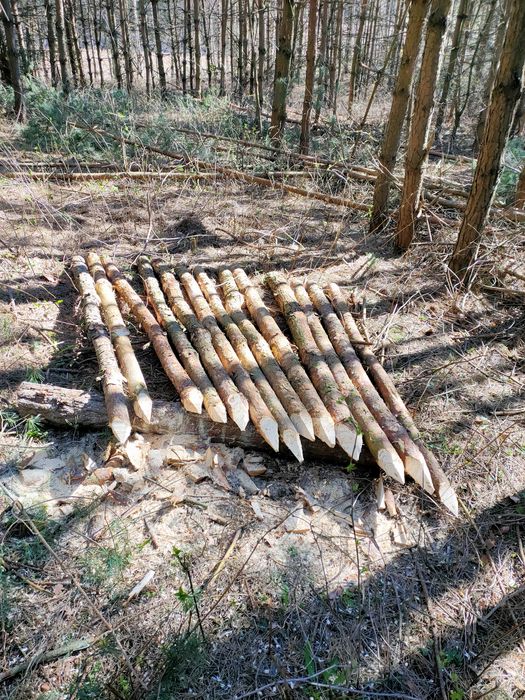 Kołki ogrodzeniowe, słupki, pale , ogrodzenie