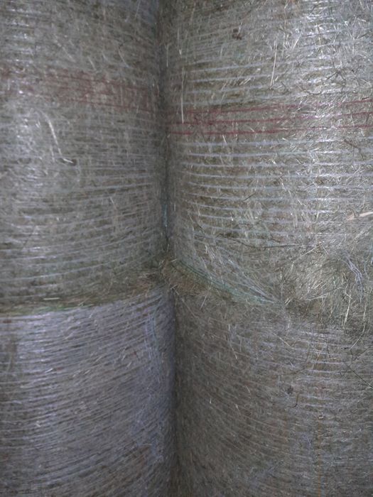 Sianokiszonka 2025r i siano