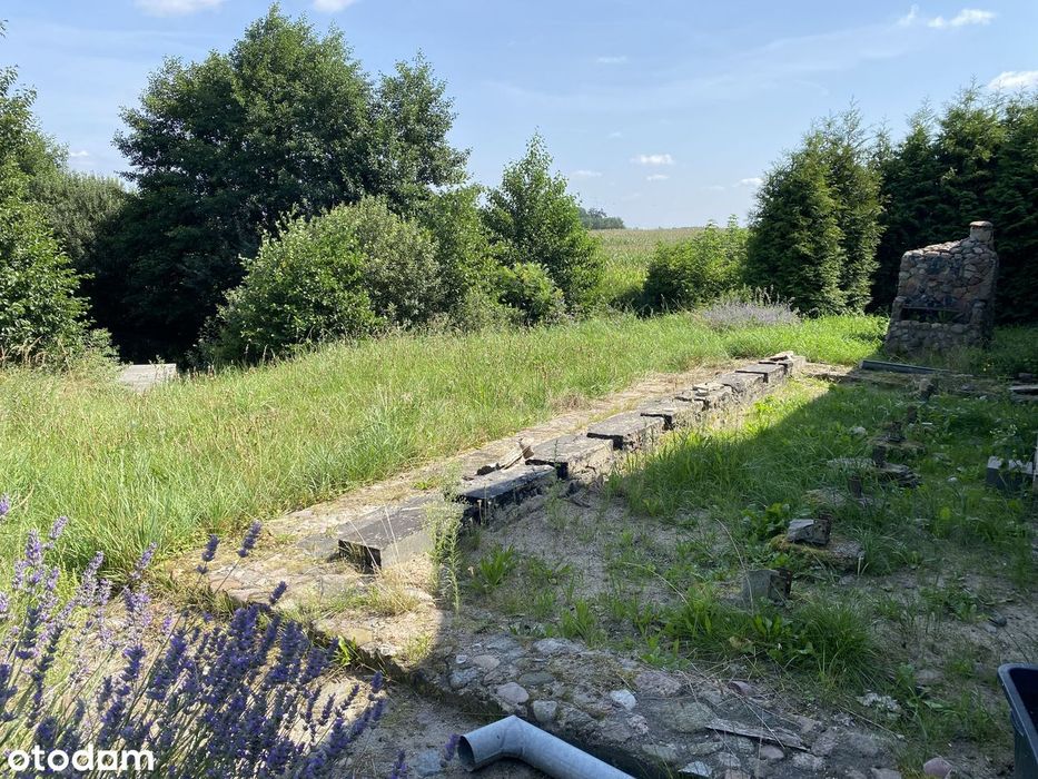 urocze siedlisko 40 km od Bydgoszczy
