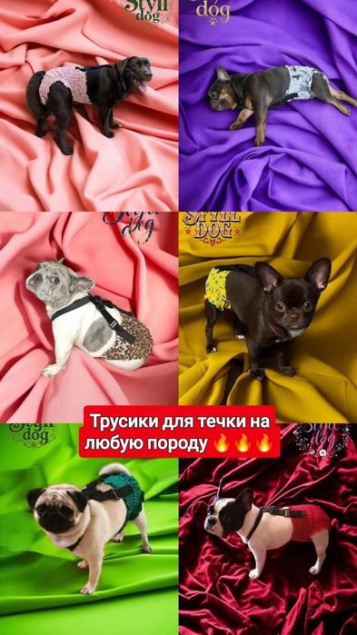 Одежда для собак