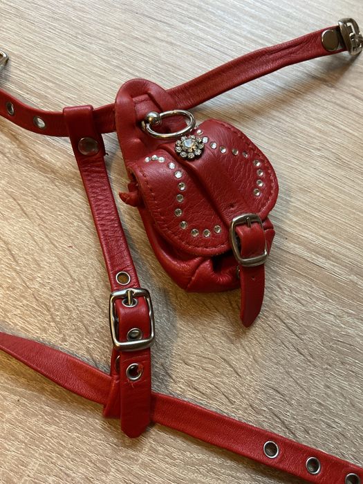 Шлея для маленькоі собачки з сумочкою для корму