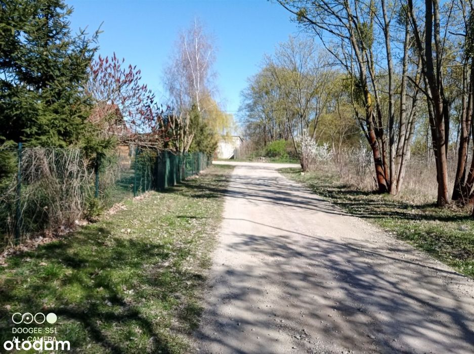 Działka Golęczewo - Widok 3