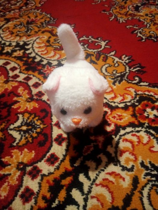 Zabawka interaktywna