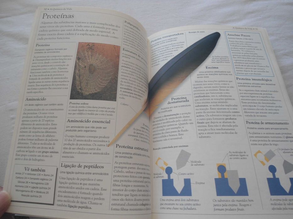 Dicionário Escolar da Natureza por David Burnie