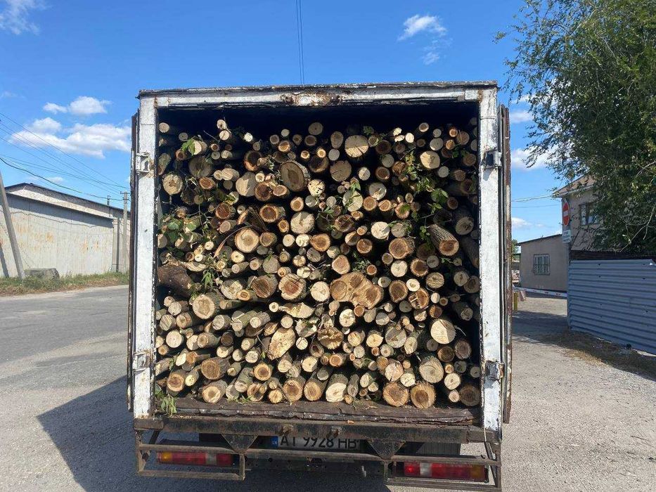 Дрова Дуб, Берест, Клен, Акация, Ясень. Круглый год 3 скм