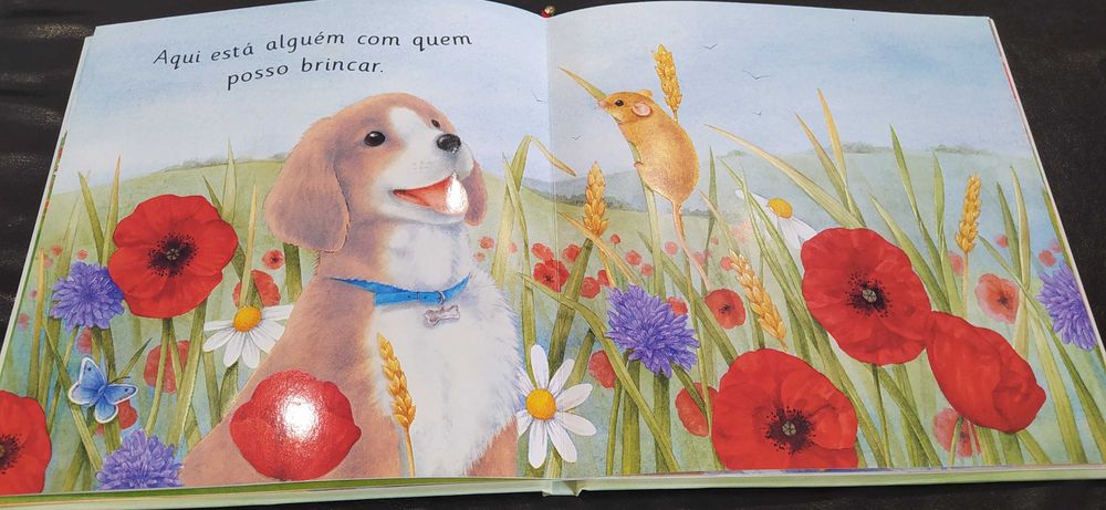 Livro Infantil - "O cachorro brincalhão"