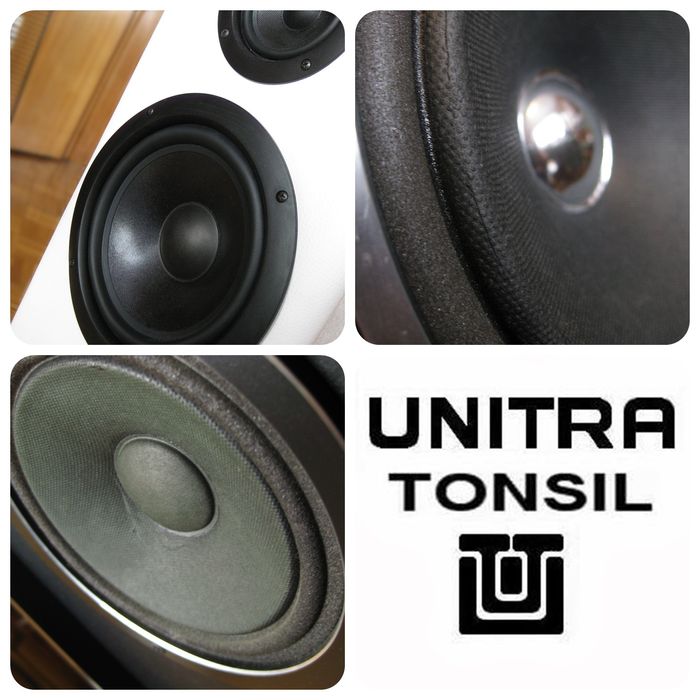 Naprawa regeneracja głośników kolumn Unitra Tonsil zachodnich marek