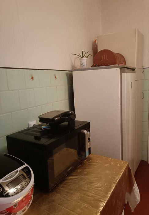 Комната без хозяев на проспекте Свободы,  Виноградарь