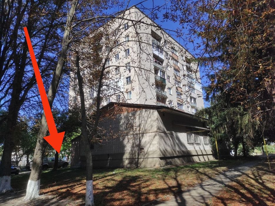 Продам підвальне приміщення в центрі Монастирища