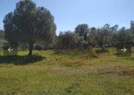 Terreno rustico isolado 1179m2 benquerencas castelo branco