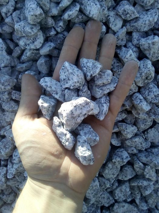 Kamień dalmatyńczyk oryginał granitowy kamienie ogrodowe ozdobne