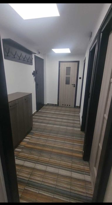 Oferta wynajmu mieszkania na pokoje lub lokali na pomieszczenia użytkowe dla firm - Widok 4