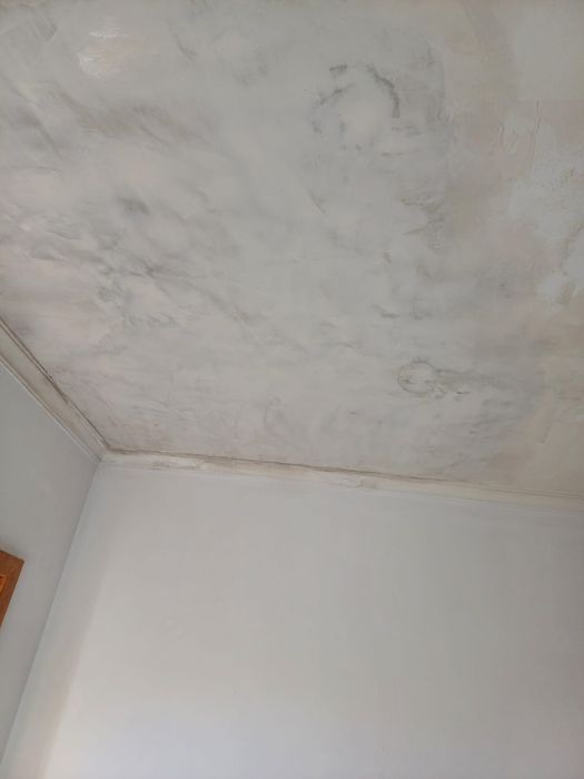 Trabalhos pintura/capoto/trolha/Construção civil Geral