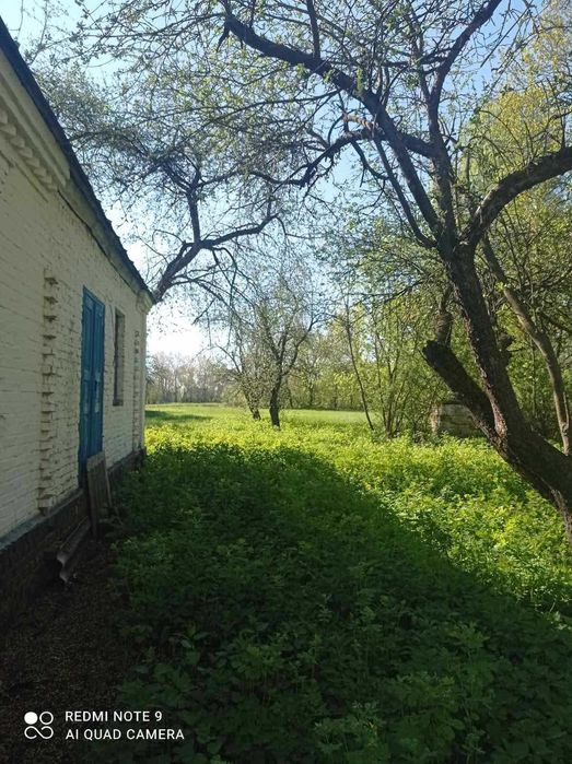 Продаж будинку в селі Волевачі