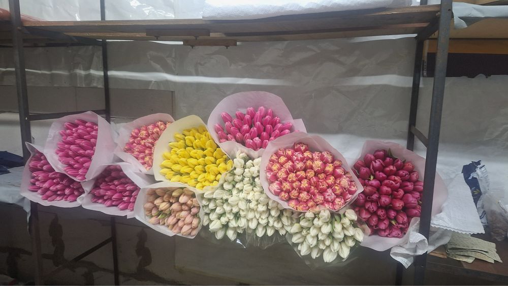 Цибулини після зрізу