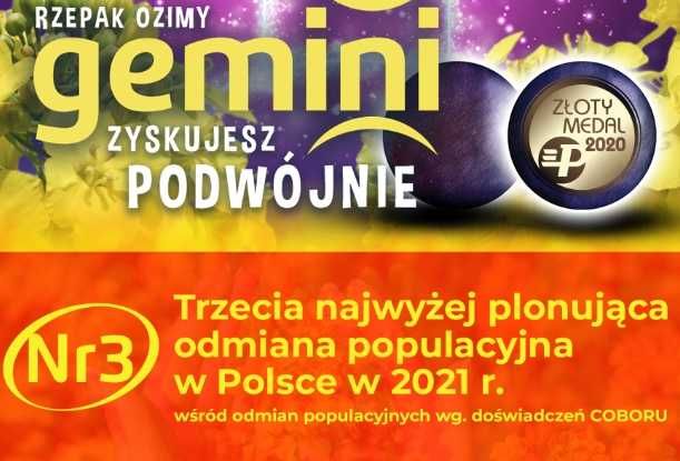 rzepak gemiini chrobry polskie odmiany rzepak ozimy  hr strzelce