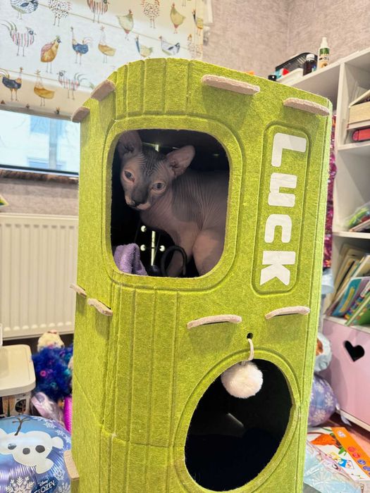 Будинок для кота лежанка для котика когтеточка будинок для собачки