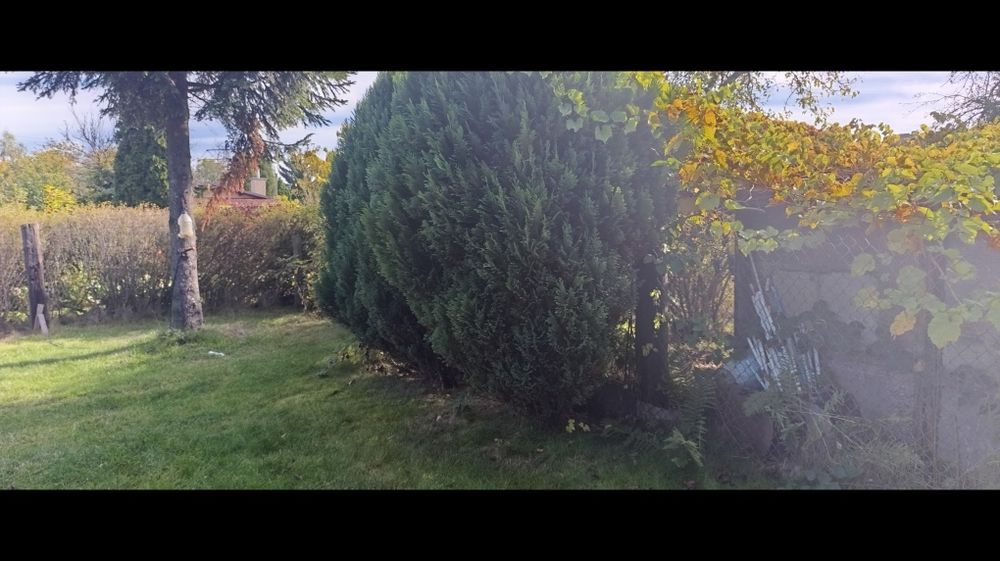 Ogródek działkowy w Świętochłowicach