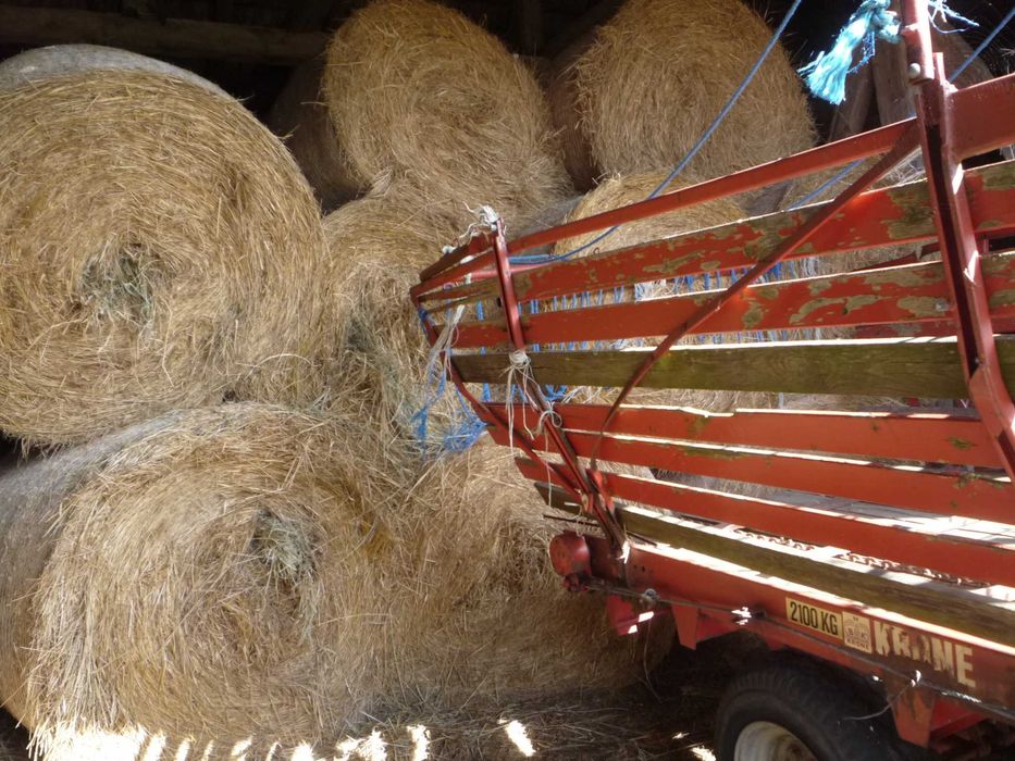 Siano w belach 130x120